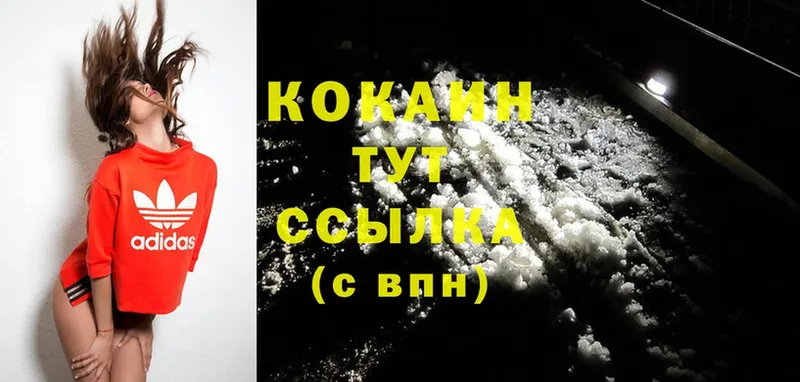 Cocaine FishScale  где продают   shop как зайти  Боровск 